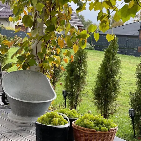 Nyaraló U Radka